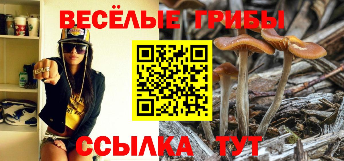 Псилоцибиновые грибы MAGIC MUSHROOMS Минеральные Воды